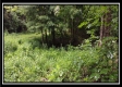 Tract 1B – New Lexington Woods property photo
