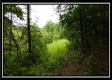Tract 1B – New Lexington Woods property photo