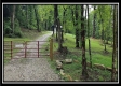 Tract 1B – New Lexington Woods property photo