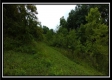 Tract 1B – New Lexington Woods property photo