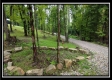 More of Tract 1B – New Lexington Woods