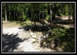 More of Tract 1B – New Lexington Woods