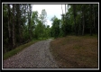 Tract 1B – New Lexington Woods property photo