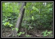 1330 Whetstone Road property photo