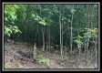 1330 Whetstone Road property photo