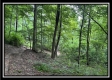 More of 1330 Whetstone Road