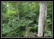 1330 Whetstone Road property photo