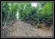 1330 Whetstone Road property photo