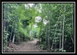 1330 Whetstone Road property photo