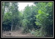 1330 Whetstone Road property photo