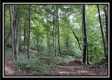 More of 1330 Whetstone Road