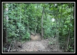 More of 1330 Whetstone Road