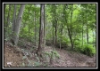 1330 Whetstone Road property photo