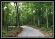Tract 6 - The Woods at Pedigo Ridge property photo