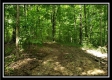 Tract 6 - The Woods at Pedigo Ridge property photo