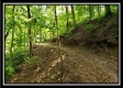 Tract 6 - The Woods at Pedigo Ridge property photo
