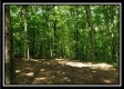 Tract 6 - The Woods at Pedigo Ridge property photo