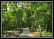 Tract 6 - The Woods at Pedigo Ridge property photo