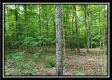 More of Tract 6 - The Woods at Pedigo Ridge