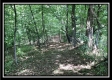 The Cabin at Tennant Acres property photo