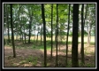 4259 Egypt Pike property photo