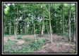4259 Egypt Pike property photo