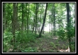 4259 Egypt Pike property photo