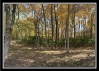 4257 Egypt Pike property photo