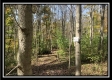 4257 Egypt Pike property photo