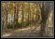 4257 Egypt Pike property photo