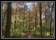 4257 Egypt Pike property photo