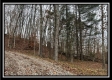 Ridge Top Cabin property photo