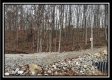 Ridge Top Cabin property photo