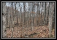 Ridge Top Cabin property photo