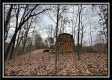 Ridge Top Cabin property photo