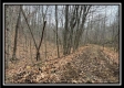 Ridge Top Cabin property photo