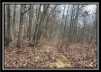 Ridge Top Cabin property photo