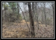 Ridge Top Cabin property photo