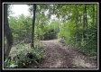 1282 Whetstone Road property photo