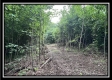 1282 Whetstone Road property photo
