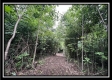1282 Whetstone Road property photo