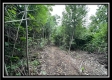 1282 Whetstone Road property photo