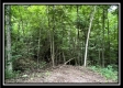More of 1282 Whetstone Road