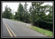 1282 Whetstone Road property photo