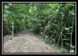 1282 Whetstone Road property photo