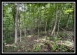 840 Whetstone Rd property photo
