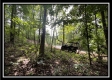 840 Whetstone Rd property photo