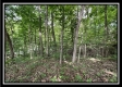 840 Whetstone Rd property photo