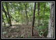 840 Whetstone Rd property photo