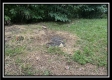 1088 Whetstone Rd property photo